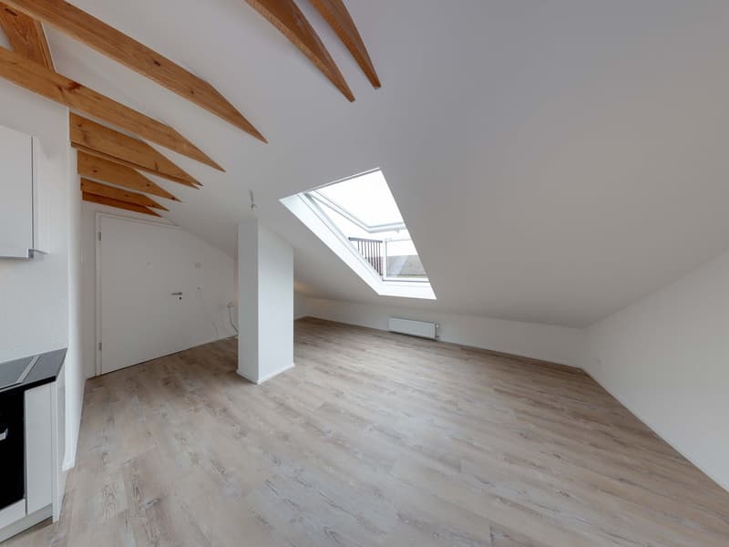 Neu erstellte Dachwohnung mit Dachbalkonfenster (3)