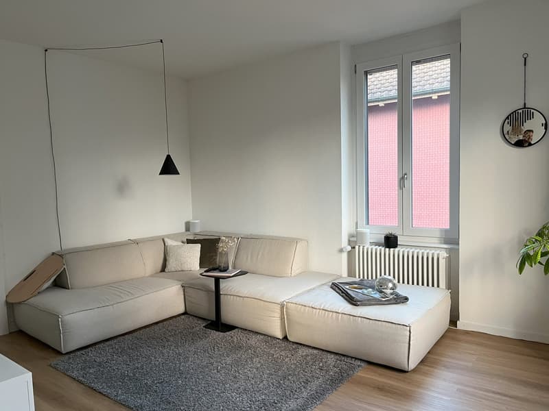 Altbau-Traumwohnung in Grenznähe (8)