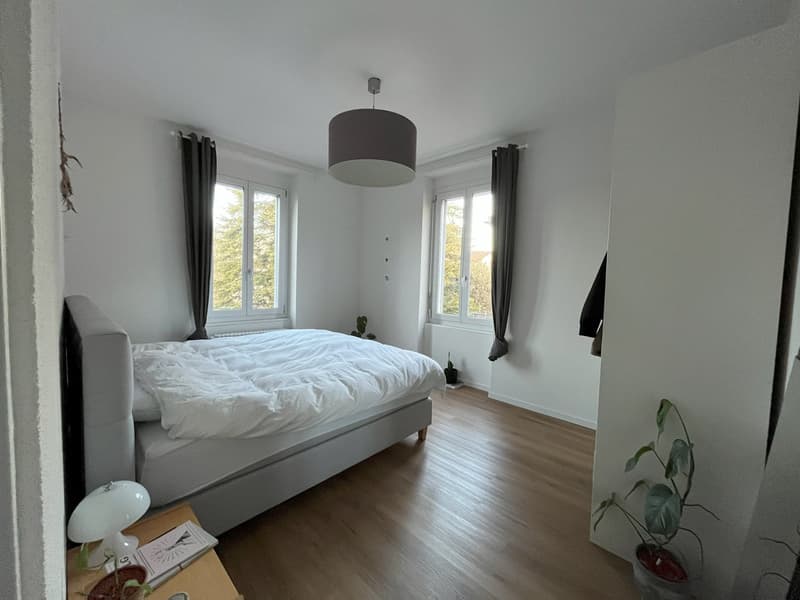 Altbau-Traumwohnung in Grenznähe (12)