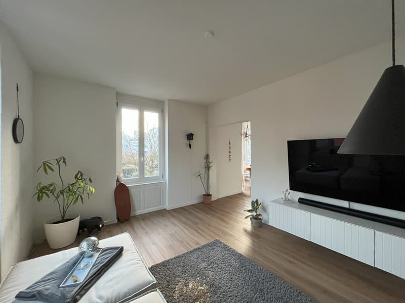 Altbau-Traumwohnung in Grenznähe (6)