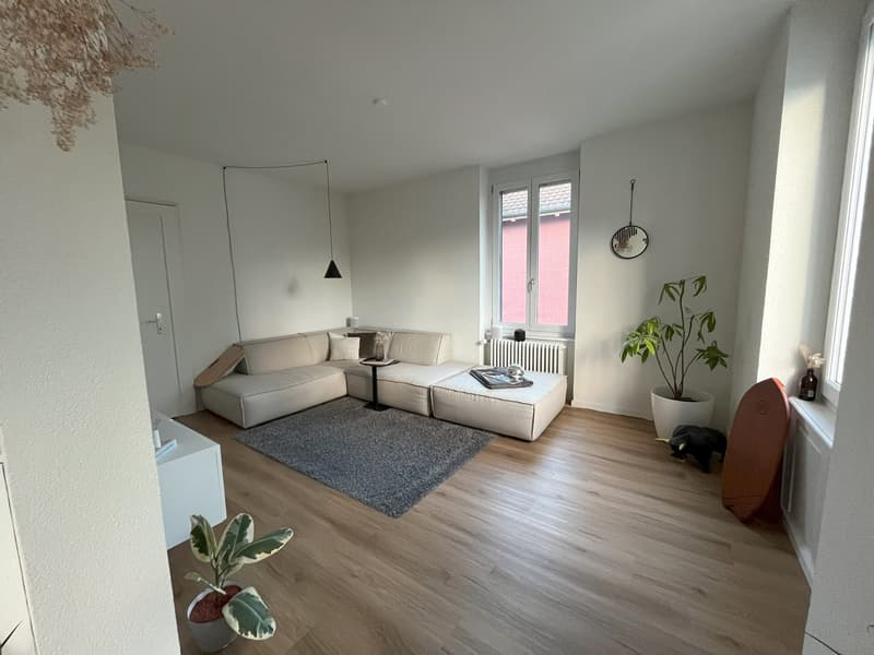 Altbau-Traumwohnung in Grenznähe (7)
