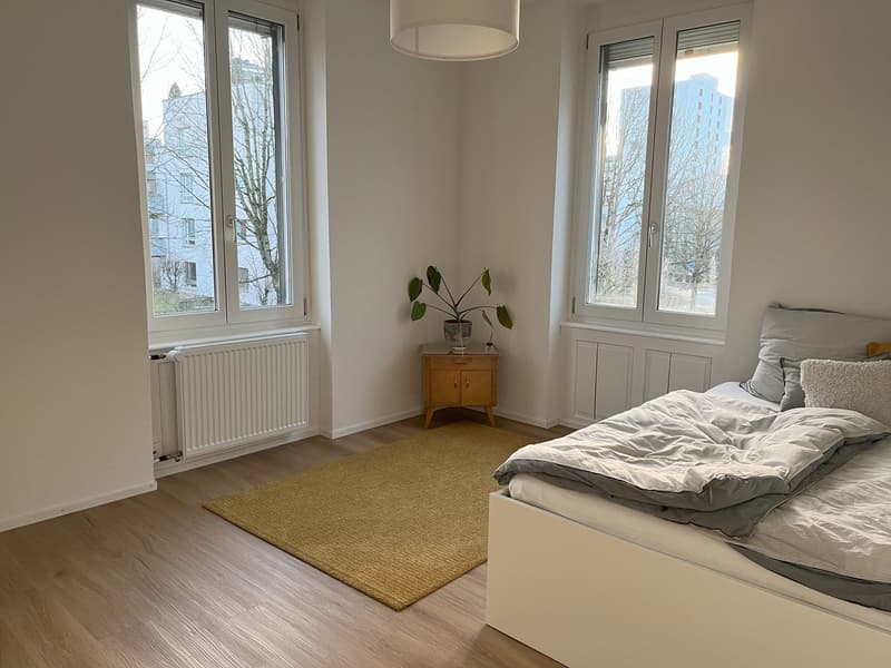 Altbau-Traumwohnung in Grenznähe (15)