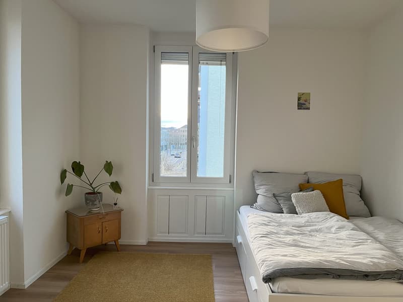 Altbau-Traumwohnung in Grenznähe (14)