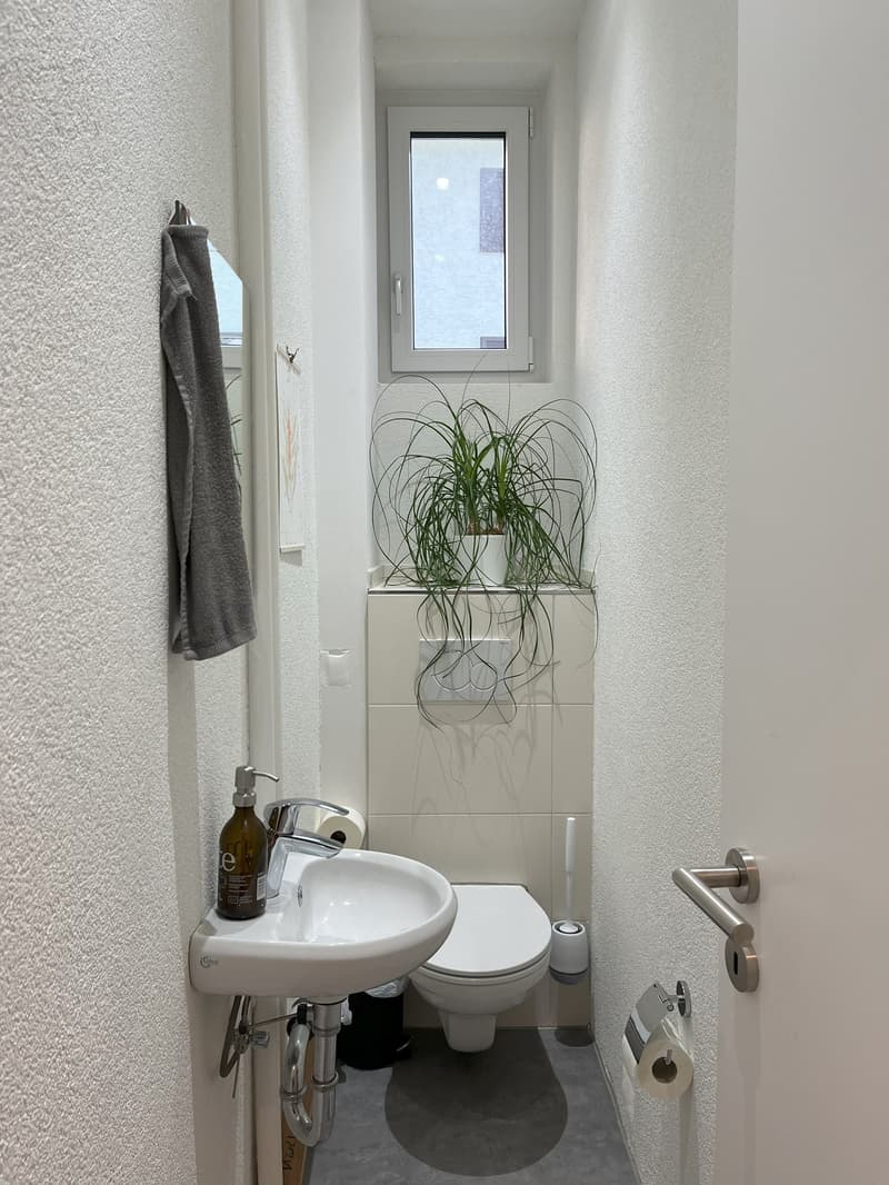 Altbau-Traumwohnung in Grenznähe (19)