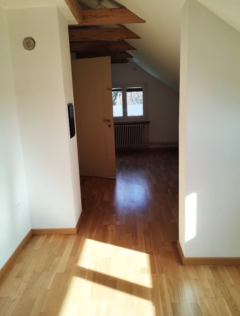 Zimmer DG