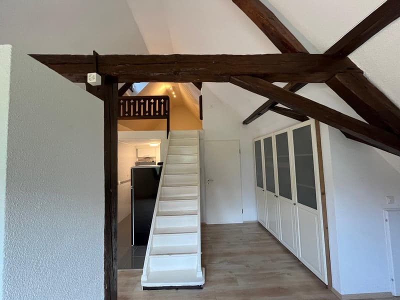 Charmante 2-Zimmer-Dachgeschosswohnung in Ermatingen – sofort verfügbar (3)