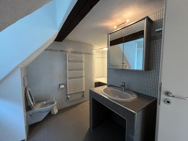 Charmante 2-Zimmer-Dachgeschosswohnung in Ermatingen – sofort verfügbar (9)