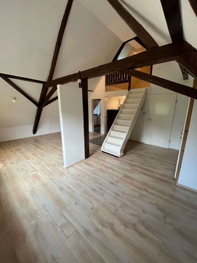 Charmante 2-Zimmer-Dachgeschosswohnung in Ermatingen – sofort verfügbar (4)