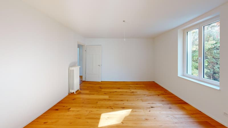 Sanierte 4.5-Zimmer-Altbauwohnung mit Terrasse  und Balkon (8)