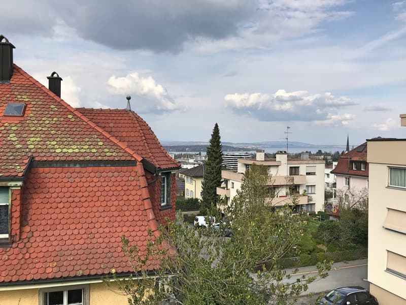 Renovierte Wohnung in Jugendstilvilla mit Weitsicht (4)