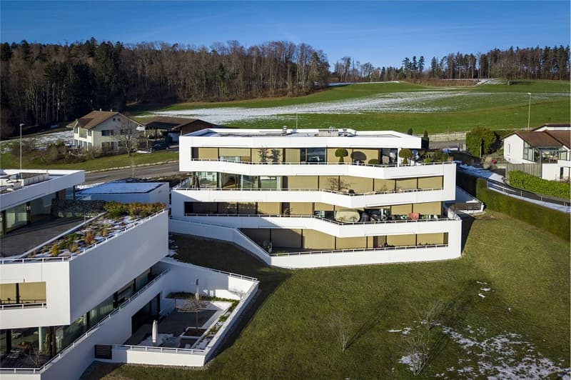 Panoramawohnung über dem Zürichsee Exklusives Wohnen mit Alpenblick (5)