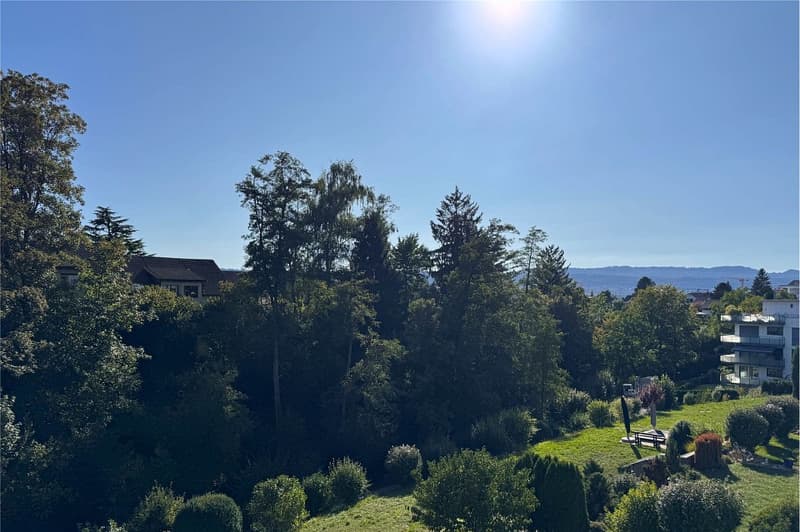 Sonnige Duplexwohnung mit Weitblick (1)