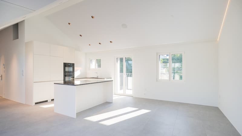 modern kitchen with island, white cabinets, granite countertop, built-in oven, sink, large windows, balcony