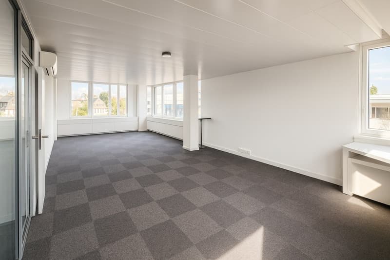 large room, white walls, carpeted floor, open windows, bright light