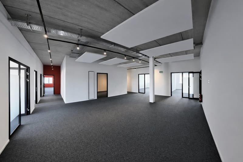 Modern commercial, practice, therapy, and office spaces in Goldach (7)