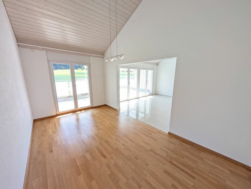 Appartamento attico esclusivo con terrazza soleggiata da sogno (9)