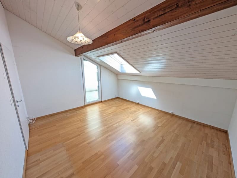 Appartamento attico esclusivo con terrazza soleggiata da sogno (15)