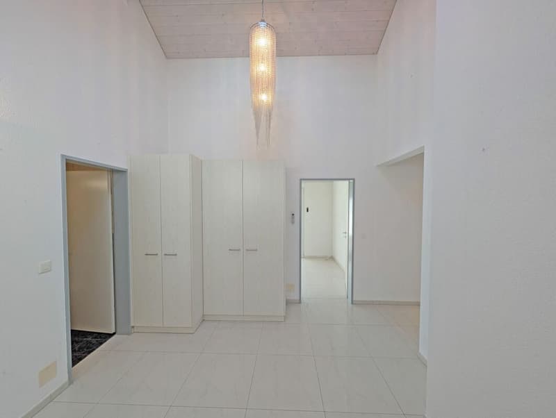 Appartamento attico esclusivo con terrazza soleggiata da sogno (4)