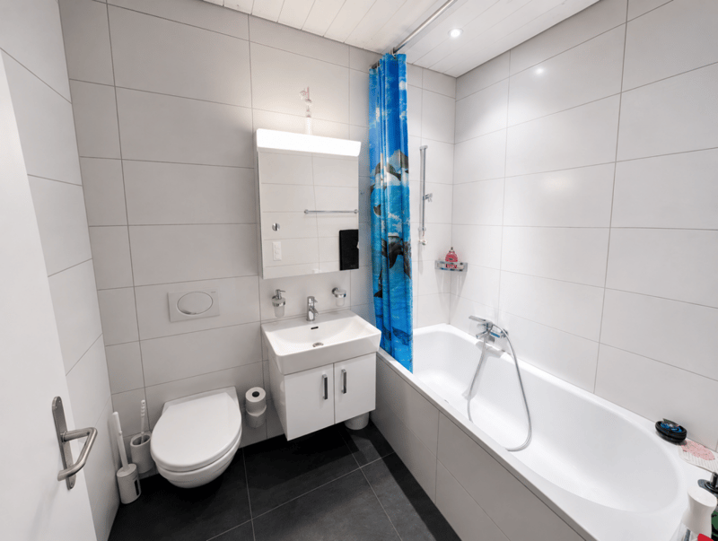 Spacious attic apartment in a quiet and central location (5)