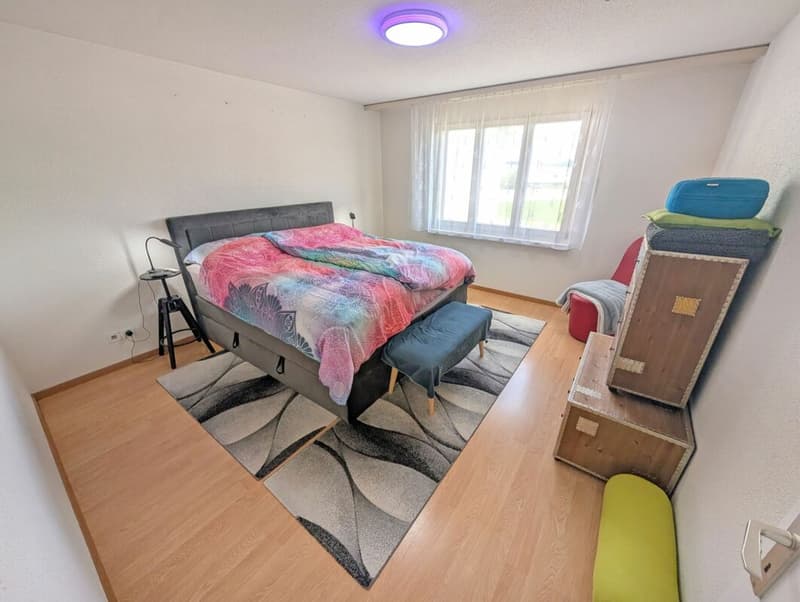 Modernized 4.5-room apartment in a family-friendly location (7)