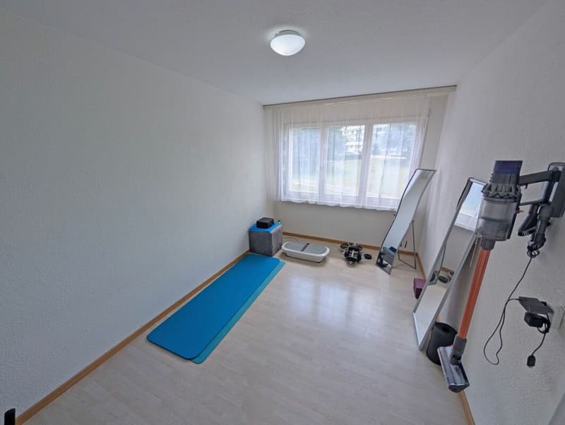 Modernized 4.5-room apartment in a family-friendly location (8)