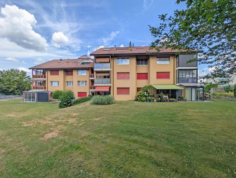 Modernized 4.5-room apartment in a family-friendly location (1)