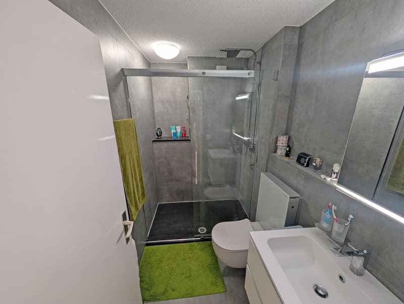 Modernized 4.5-room apartment in a family-friendly location (4)