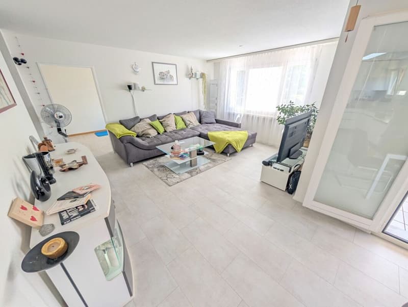 Modernized 4.5-room apartment in a family-friendly location (3)