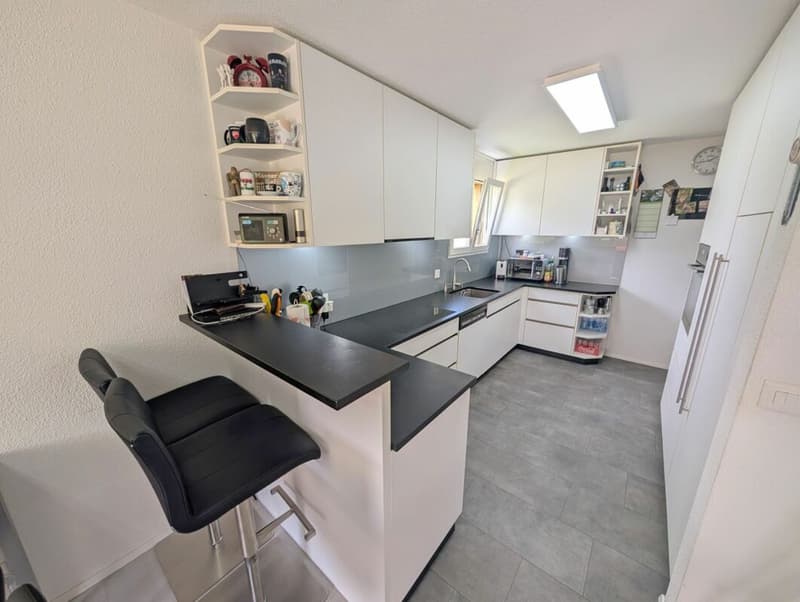 Modernized 4.5-room apartment in a family-friendly location (2)