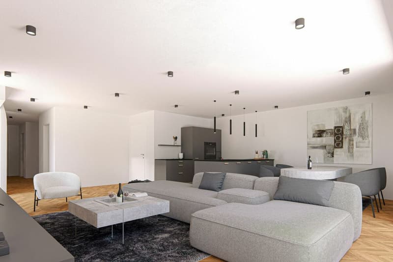 Bald bezugsbereit -exklusive 3.5-Zimmer Attika-Wohnung mit 158m2 Terrasse (4)