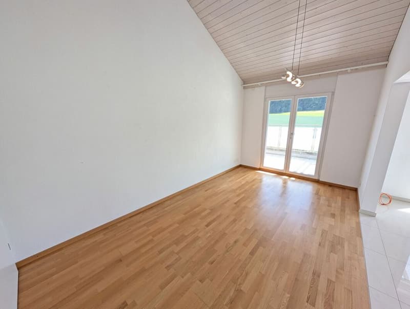 Einzigartige Attikawohnung mit herrlicher Terrasse und Blick in Grüne (12)