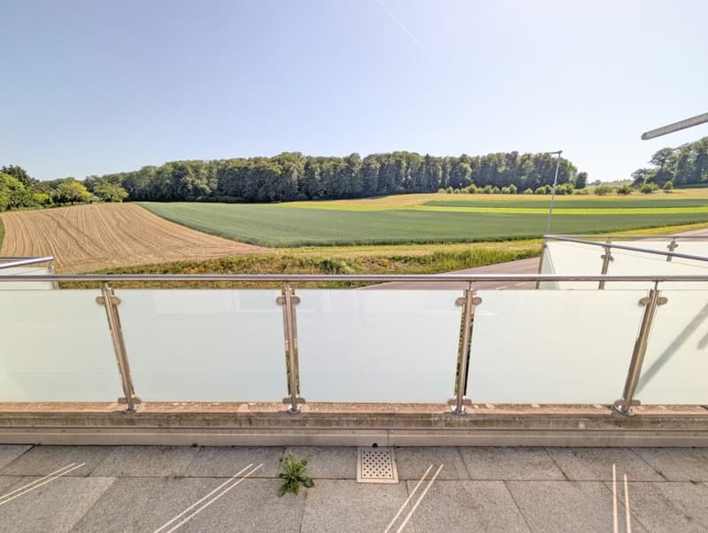 Einzigartige Attikawohnung mit herrlicher Terrasse und Blick in Grüne (4)