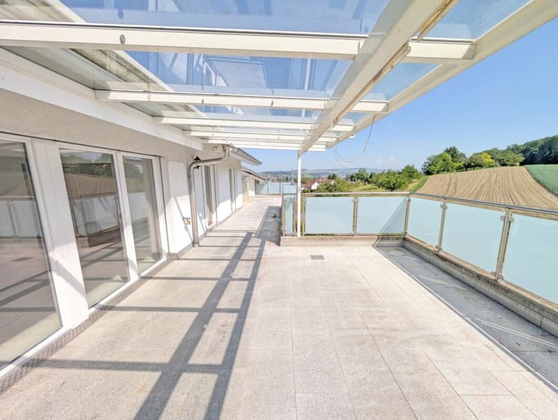 Einzigartige Attikawohnung mit herrlicher Terrasse und Blick in Grüne (20)