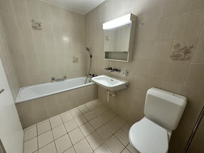 Appartamento 5.5 locali a Safenwil (12)
