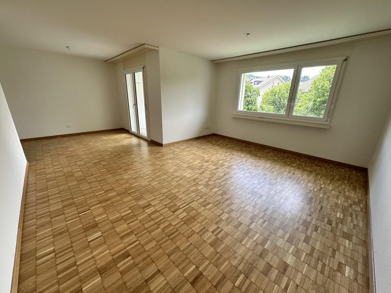 Appartement 4,5 pièces à Safenwil (5)