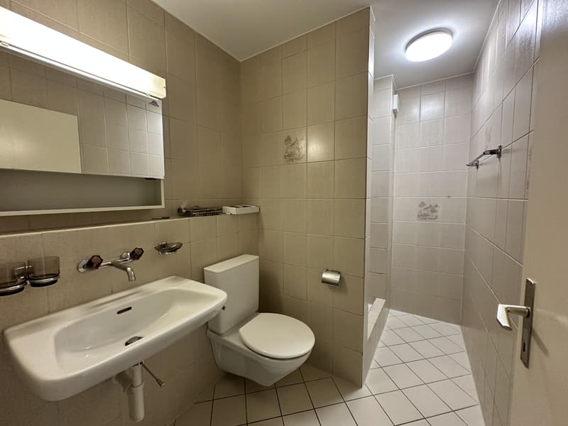 Appartement 4,5 pièces à Safenwil (12)
