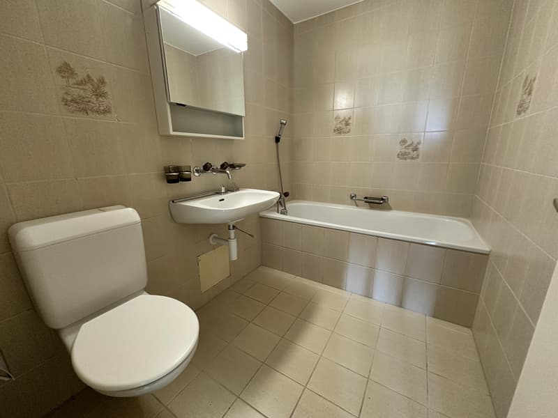 Appartement 4,5 pièces à Safenwil (11)