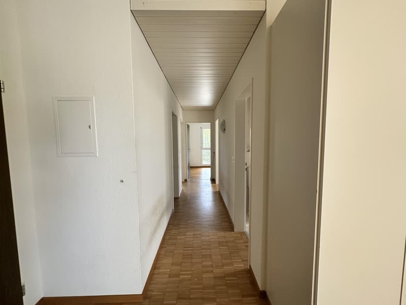 5.0 Zimmerwohnung in Safenwil (6)