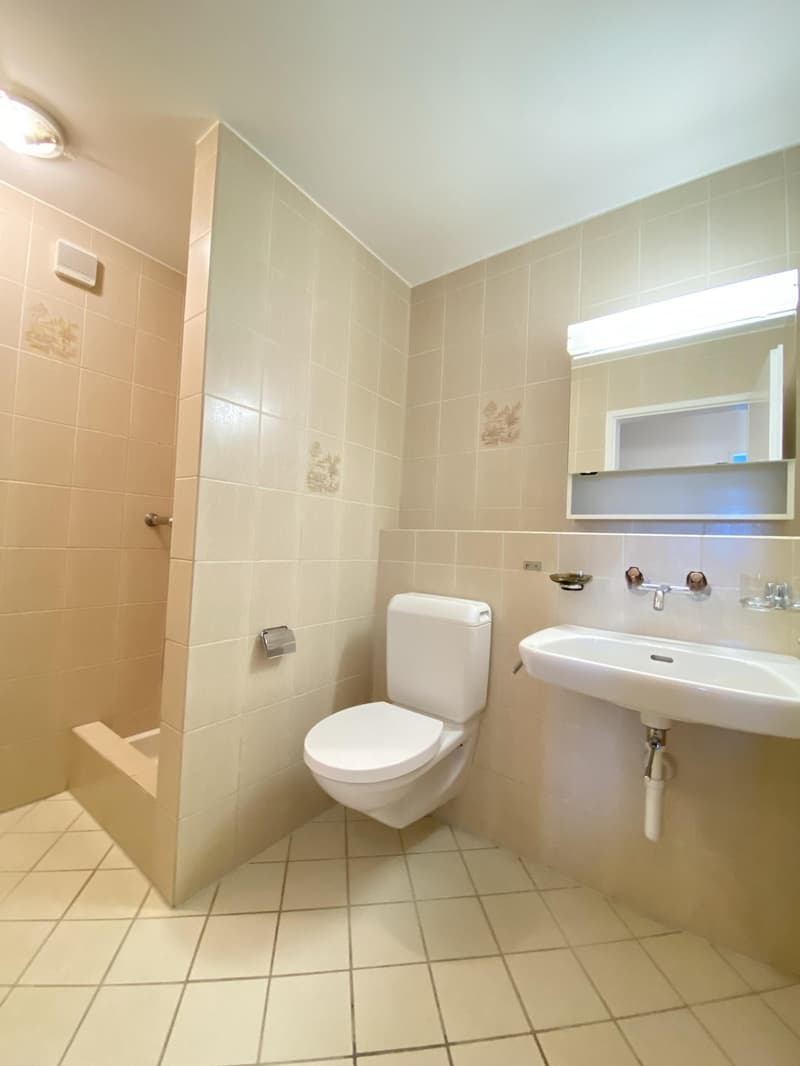 5.5 Zimmerwohnung in Safenwil (11)
