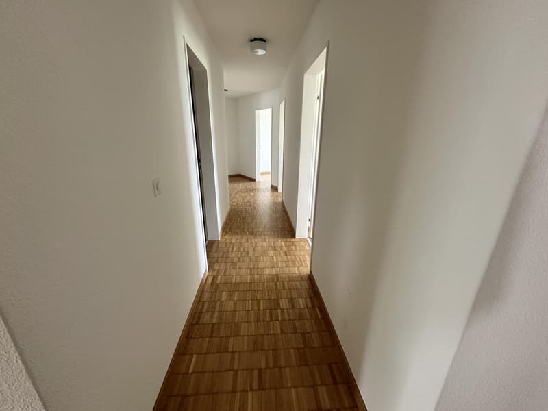 5.5 Zimmerwohnung in Safenwil (6)