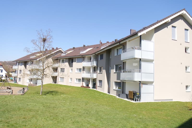 3.5 Zimmerwohnung in Safenwil (1)