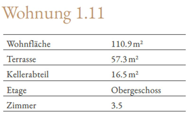 Living of the highest class – exclusive 3.5-room terrace apartment at Buechenberg (9)