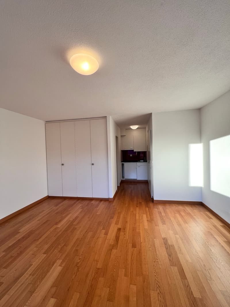 Empty room with hardwood floors, white walls, large closet, and a small kitchen area.