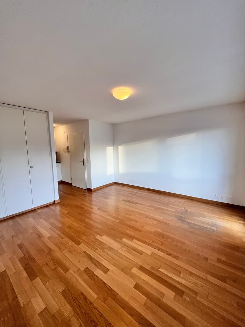 empty room, wooden floor, white walls, white ceiling, white wardrobe, white door, light fixture