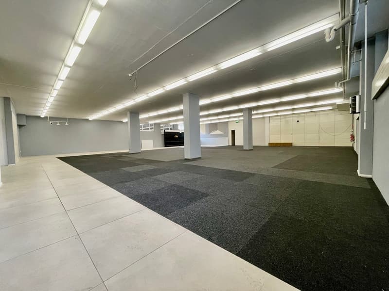 Attraktive Gewerbefläche mit Top-Infrastruktur in Schöftland (4)
