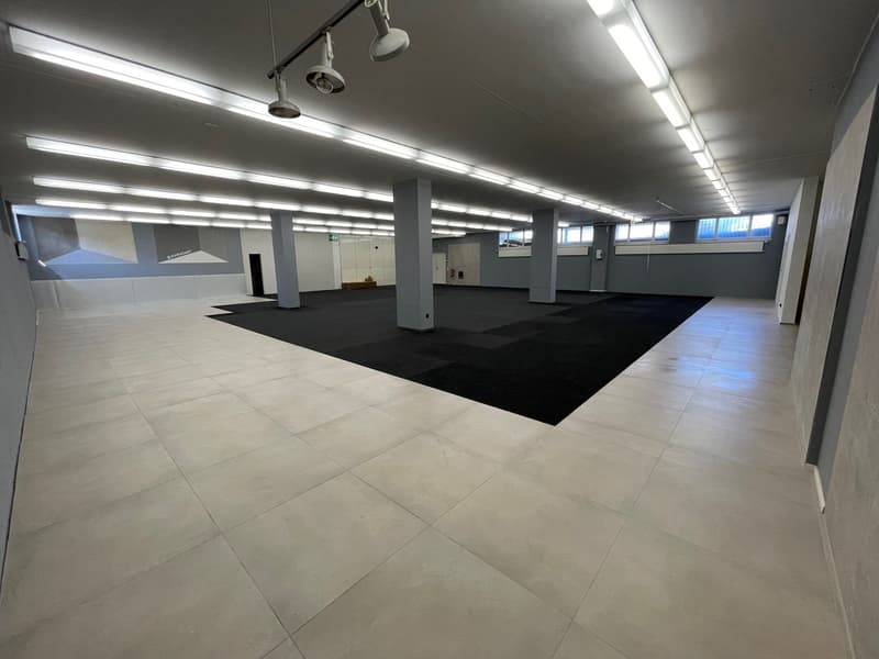 Attraktive Gewerbefläche mit Top-Infrastruktur in Schöftland (8)