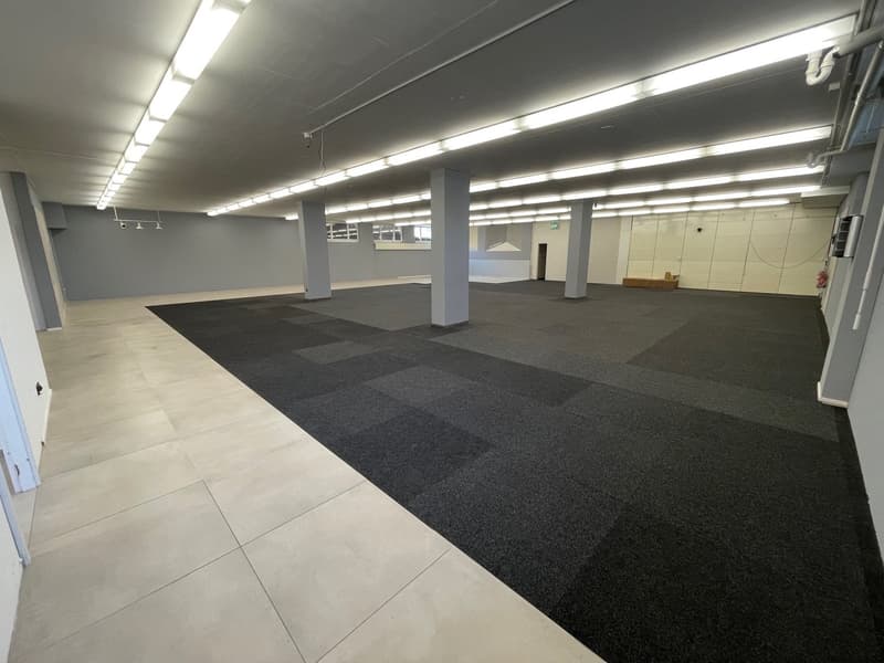 Attraktive Gewerbefläche mit Top-Infrastruktur in Schöftland (9)