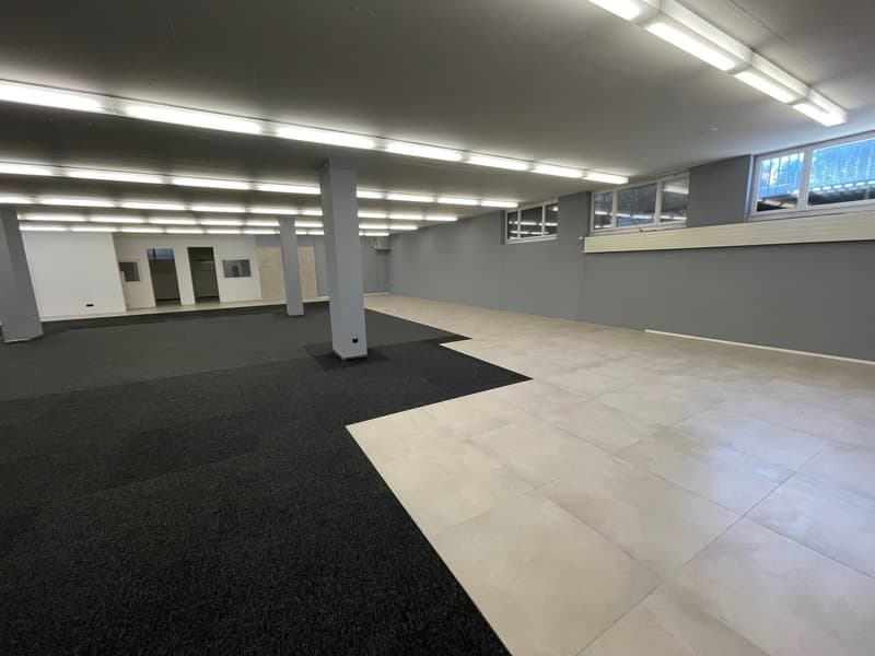 Attraktive Gewerbefläche mit Top-Infrastruktur in Schöftland (7)