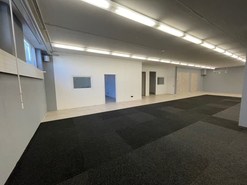 Attraktive Gewerbefläche mit Top-Infrastruktur in Schöftland (5)