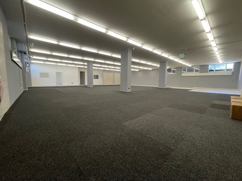 Attraktive Gewerbefläche mit Top-Infrastruktur in Schöftland (3)